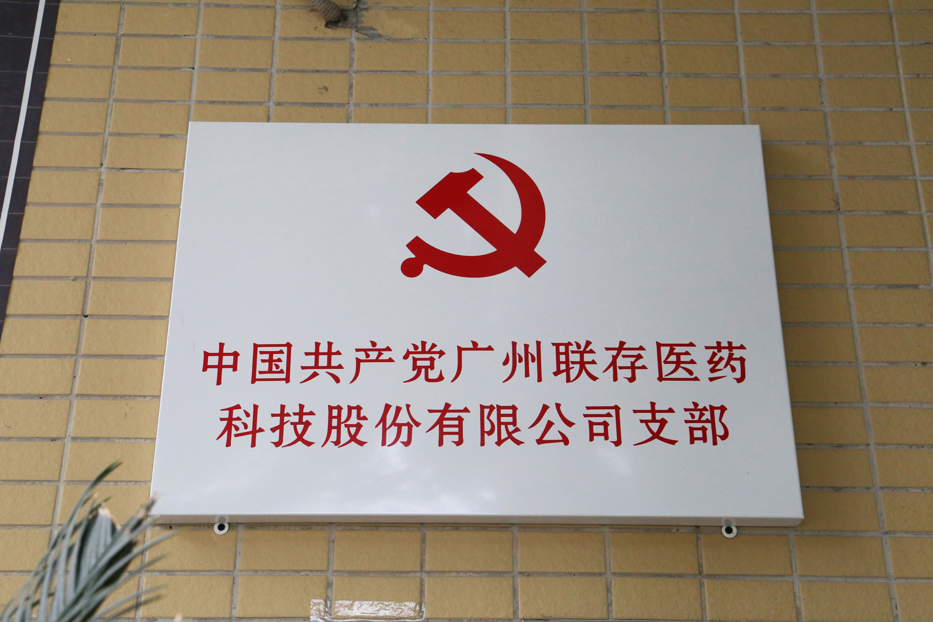党建引领凝聚力量，旗帜高举争先锋 | 广州世俱杯app官方入口医药科技股份有限公司党支部正式成立